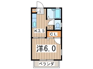 オンクールＳＨＩＢＡの物件間取画像